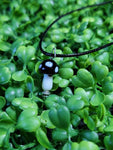 Black Mushroom Necklace